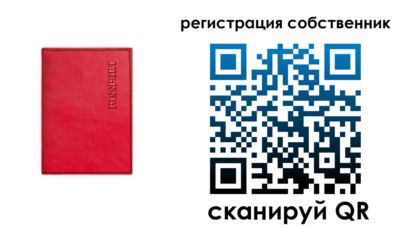 прописка для школы в Купино